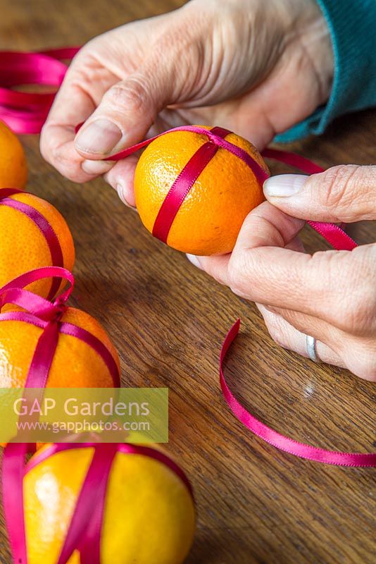 Tying red ribbon around clementines to create festive hanging decorations