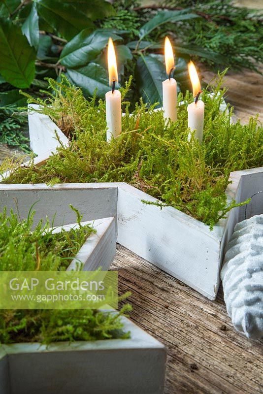 Display of white stars planted with moss and candles, accompanied with Pine cones and mixed evergreen foliage