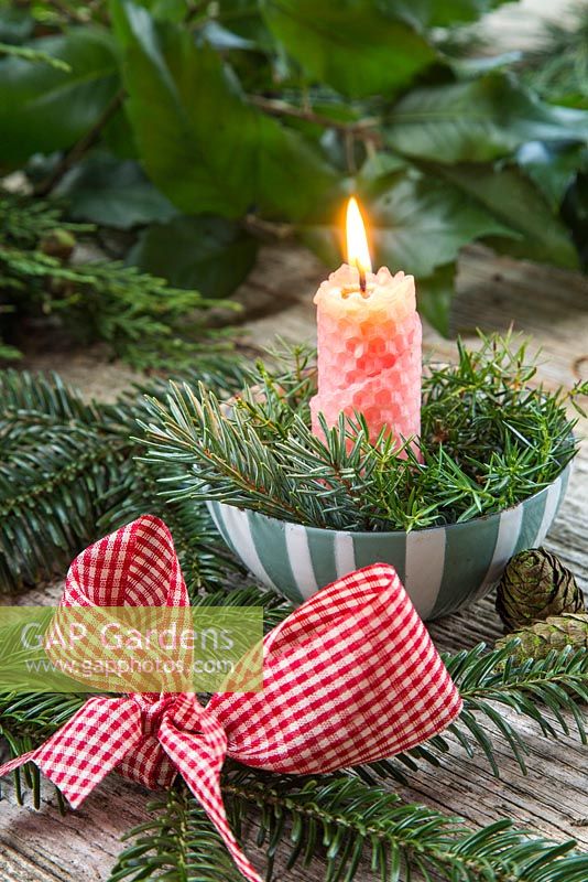 Candle table decoration with Picea pungens 'Hoopsii', Juniper and Larch cones.