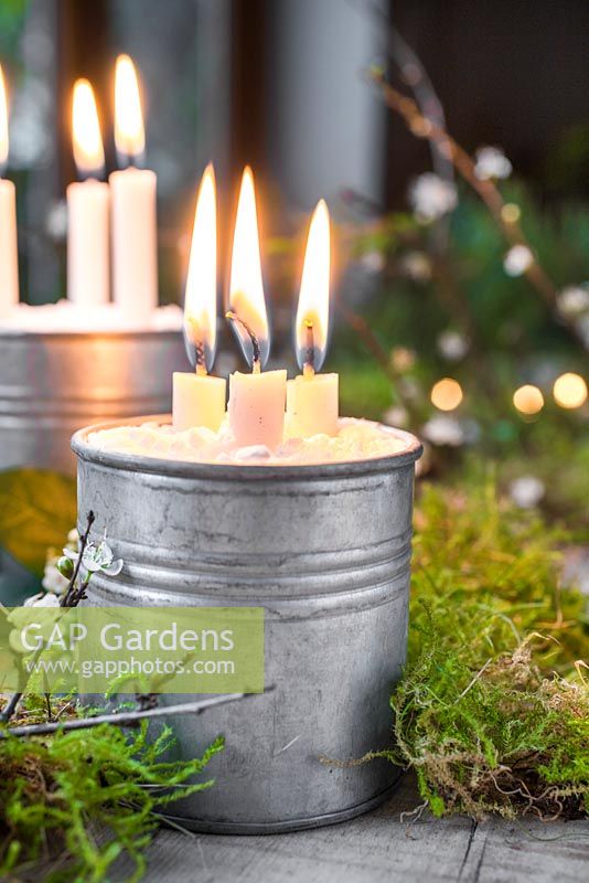 Candles mounted in metal cans containing salt, decorated with moss and Crataegus - Hawthorn blossom.
