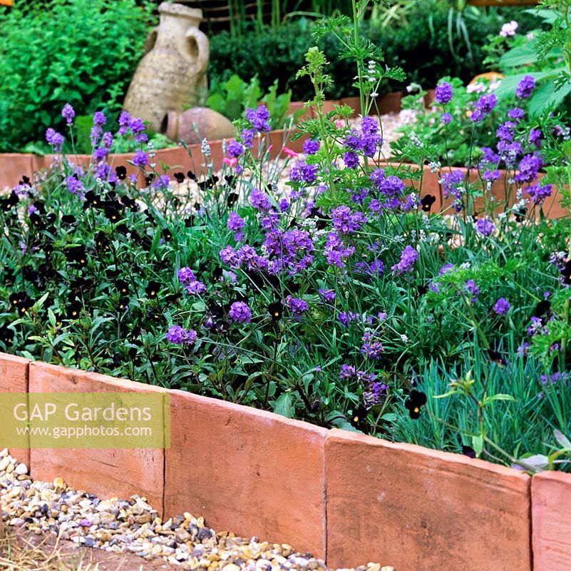Raised beds of lavender with perennials edged in terracotta tiles laid on edge.