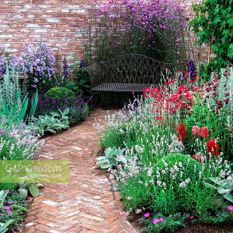 Brick wall enclosed courtyard with herringbone brick path edged in lavender, stachys, nicotiana, box balls and phlox. Leads to iron bench backed by Verbena bonariensis.
