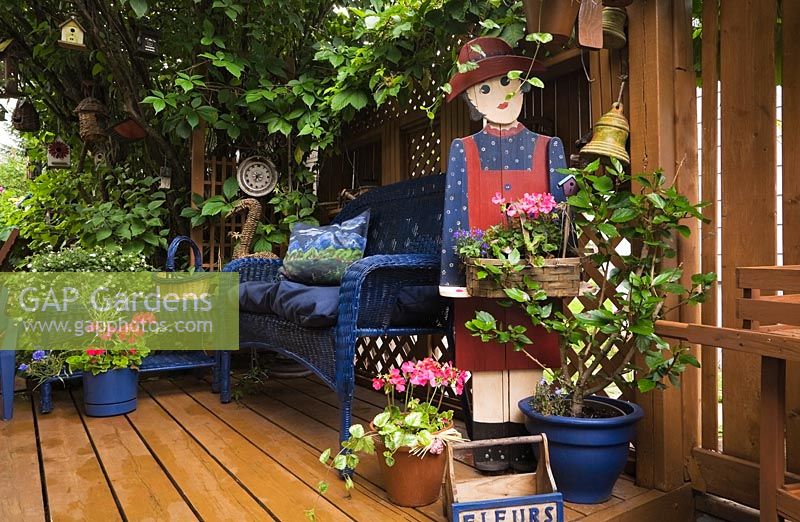 Vine clothing trellis around painted seat with Syringa tree hanging over deck with red Pelargoniums and Hibiscus plant in urban back garden, Quebec, Canada