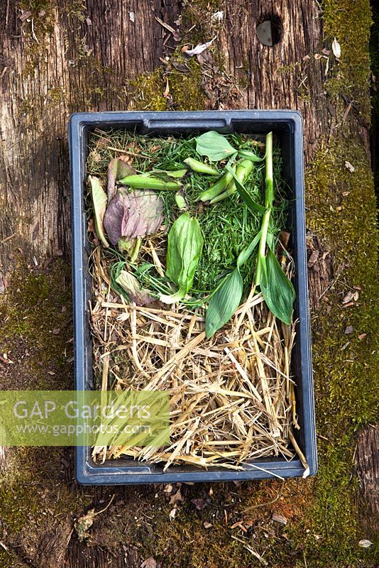 Showing material suitable for adding to a compost heap