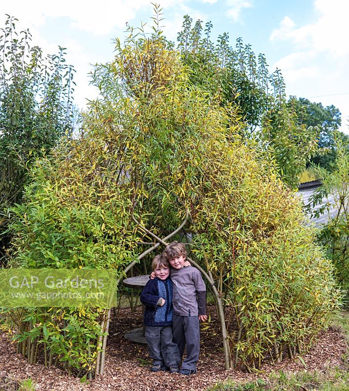 Brothers Jacob and Louis standing in the low doorway of a playden woven from living Salix viminalis - willow.