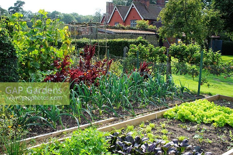 Ornamental vegetable garden with pemanent beds. Wyken Hall, Suffolk