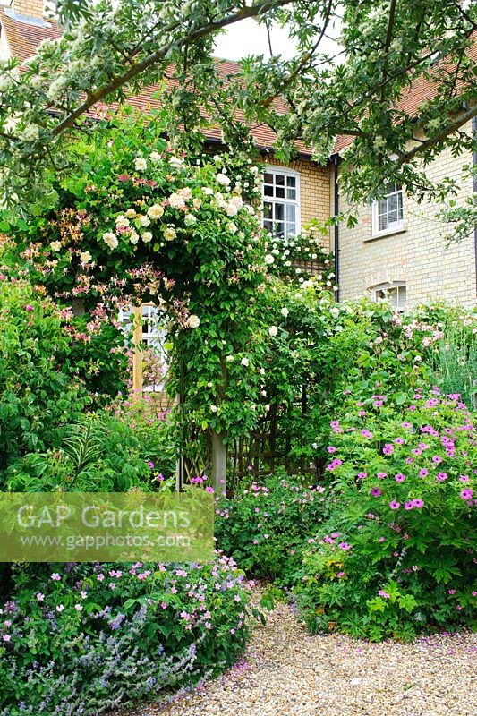 Arch over garden entrance with Rosa 'CÃline Forestier' and honeysuckle. Hardy geraniums in foreground. Rectory Farm, Orwell, Cambridgeshire