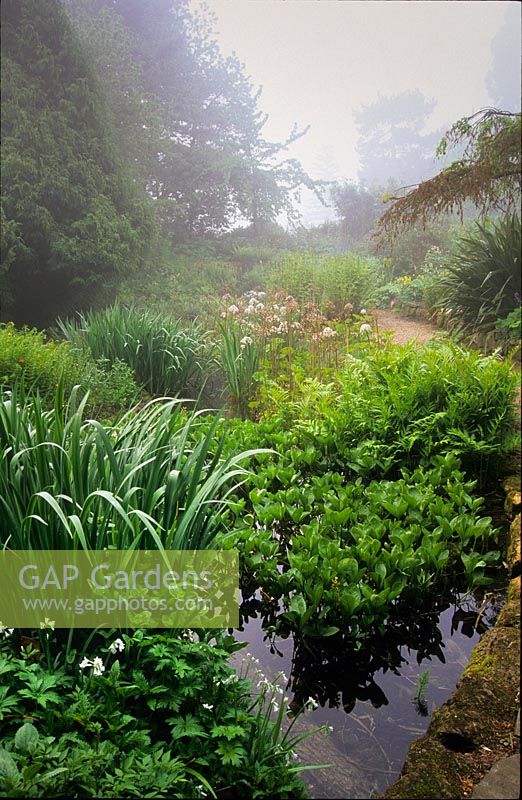 View of bog garden, Cambridge Botanic Gardens