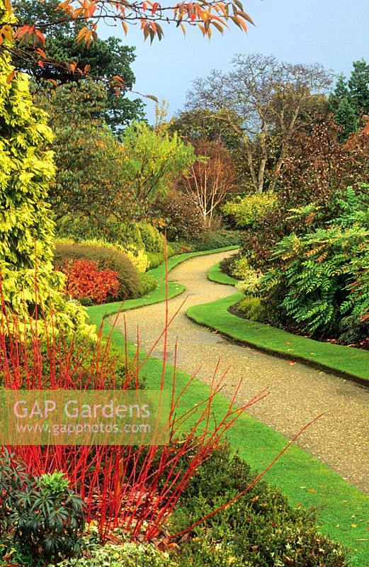 Winter garden - Cambridge Botanic Gardens 