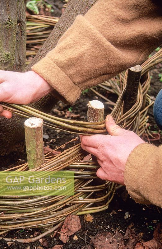 Man weaving willow stems onto hazel pegs to form edging