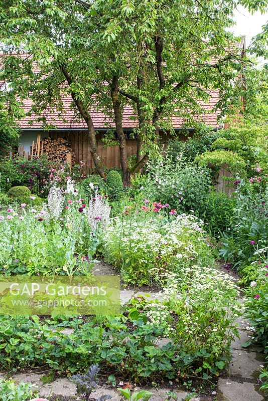 Natural styled garden with perennials and biennial self seeders. In the foreground, vegetable patches with strawberries, fennel, beans and salad, Clematis, Cornus kousa, Lavatera olbia, Lilium regale, Papaver somniferum, Rosa, Salvia sclarea var. turkestanica and Tanacetum parthenium 