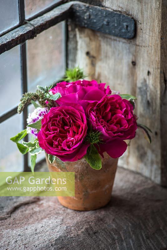 Red roses in a cut flower arrangement in a terracotta pot on a windowsill