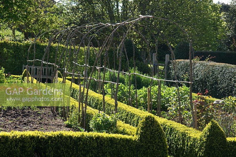 Hazel arch in a vegetable patch