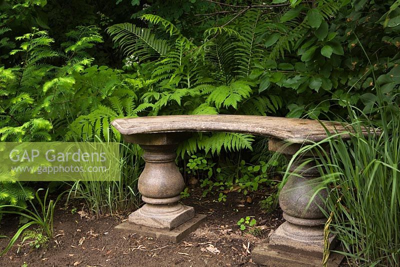 Concrete Roman style bench against a backdrop of perennial and deciduous plants including Pteridophyta - Ferns in private backyard country garden in summer, Quebec, Canada