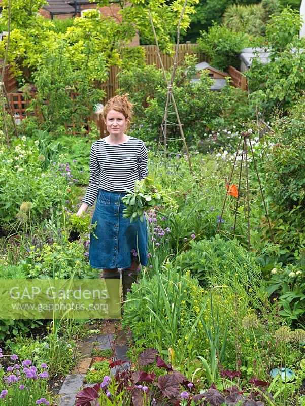 Alys Fowler, gardener, author and TV presenter, picks mint in her 18m x 6m back garden where she grows a mix of fruit, herbs, decorative flowers and vegetables in packed borders