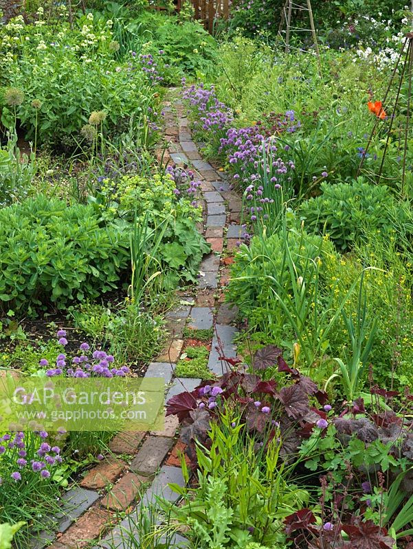 A mix of fruit, herbs, flowers and vegetables thrive in packed beds, separated by winding brick path. Alys Fowler's 18m x 6m, organic back garden. Pretty and productive, a