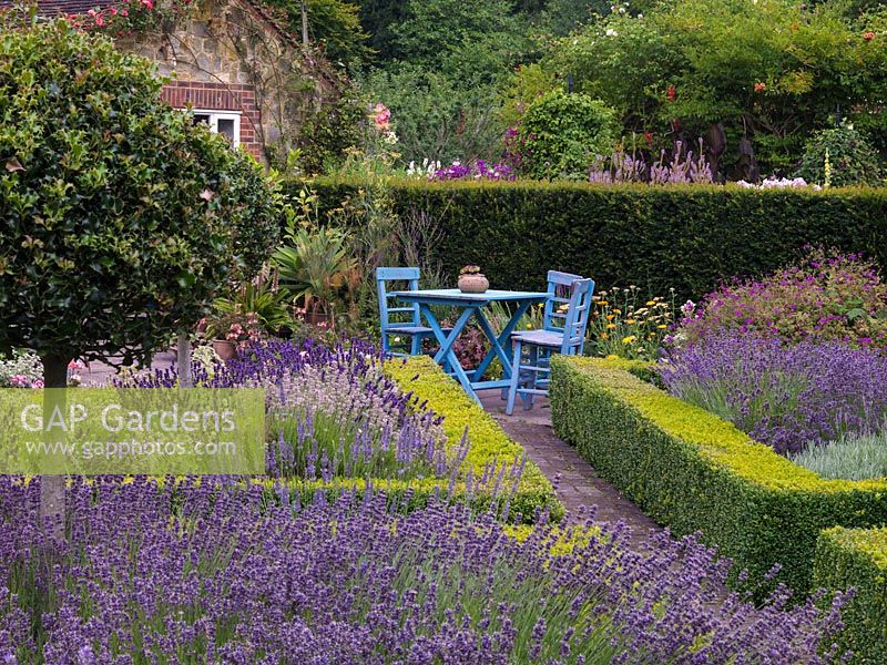 Parterre of four triangular, box-edged beds filled with standard Ilex aquifolium - holly and six different varieties of lavender. At end, tranquil spot with table and chairs.