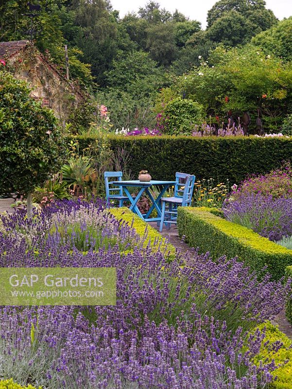 Parterre of four triangular, box-edged beds filled with standard six different varieties of lavender. At end, tranquil spot with table and chairs.