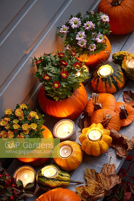 Pumpkin flowerpots with gourd candle holders 