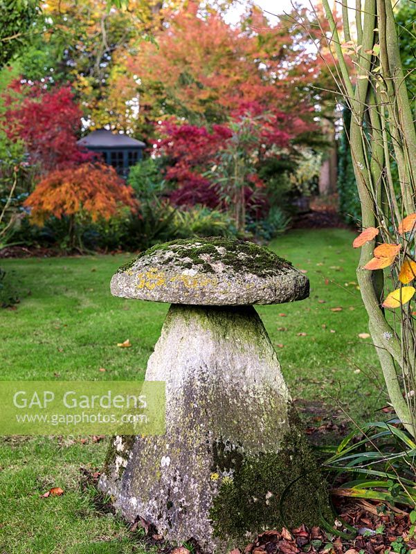 Old stone, most encrusted staddlestone set against backdrop of Japanese acers in full autumn colour.