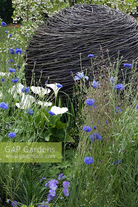 The Blues - Beautiful Borders, BBC Gardener's World Live 2014, marrying a passion for Birmingham City Football Club and gardening