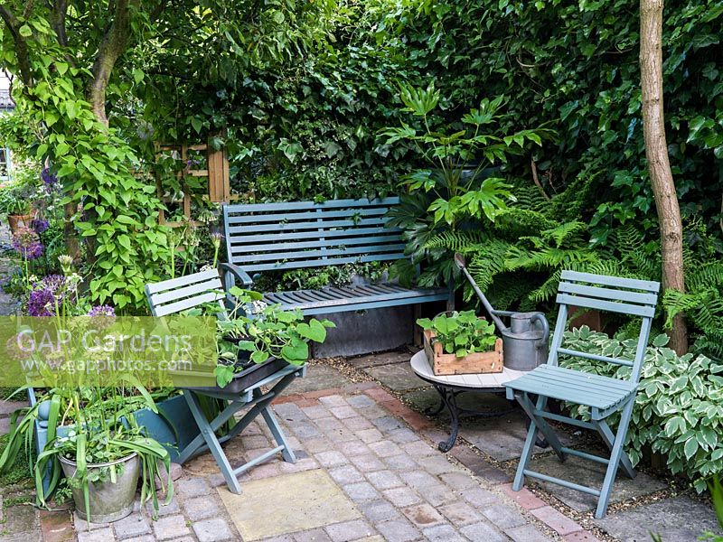 Small shady courtyard with built-in bench. Evergreen plants to cope with dry shade - Fatsia japonica, ivy, elder and ferns. Boxes of baby vegetable plants ready to plant out.