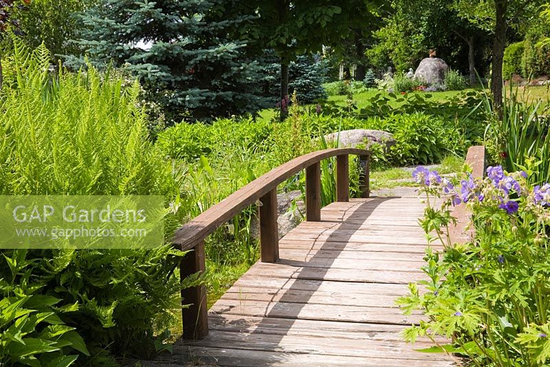 Pteridophyta - Fern plants and brown wooden footbridge over pond in backyard country garden in summer, Quebec, Canada
