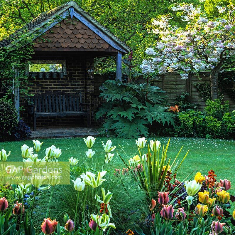 Bed of Tulipa 'Spring Green' and 'Artist', summerhouse with mirror and bench. Rheum and Japanese cherry above euphorbia.
