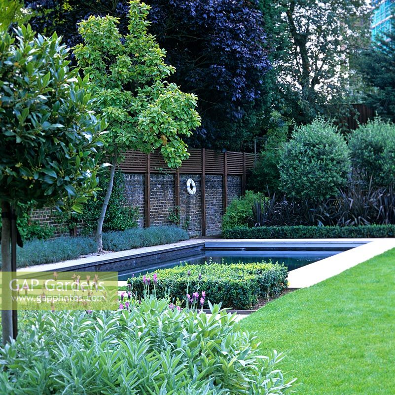 Square, raised herb bed echoed by a square of clipped box beside pool - approached via alternating strips of grass and limestone. Lavender edges pool