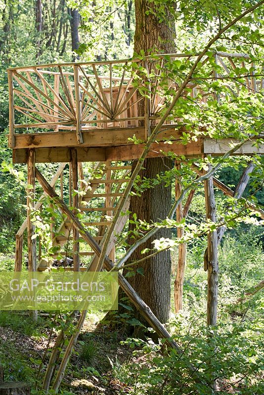 Tree house or viewing platform in woodland garden