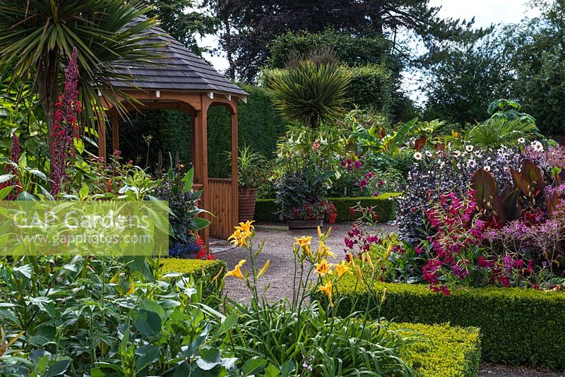 The Exotic Garden at Abbeywood. Formal box edged beds contain plants including daylilies, Cleome,  Dahlia, Nicotiana and Canna with Cordyline australis, Musa, Paulownia and Trachycarpus palms behind.