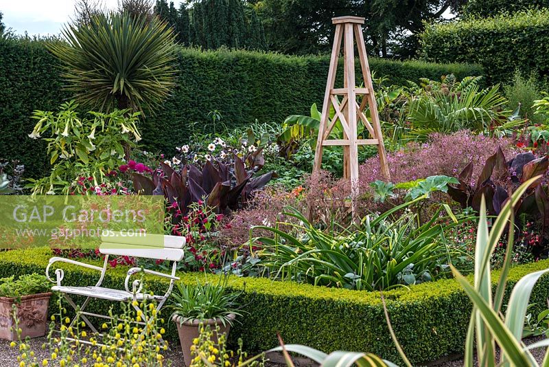 The Exotic Garden at Abbeywood features box edged borders planted with Nicotiana, Hemerocallis, Dahlia, Datura, Canna and Geranium maderense with Trachycarpus fortunei  and Cordyline australis.
