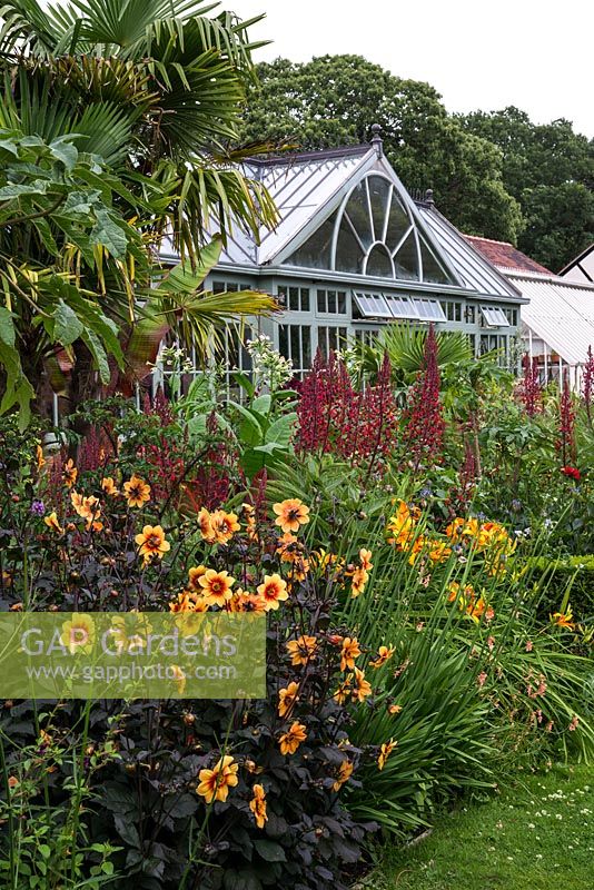 A border in The Exotic Garden at Abbeywood planted with Dahlia 'Moonfire', banana, canna, Hemerocallis 'Frans Hals', Llobelia tupa and Trachycarpus fortunei with the glasshouses behind.
