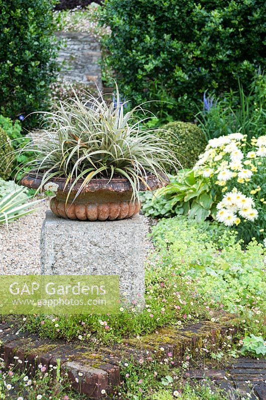 The Vean Garden, at its centre an urn planted with Astelia nivicola 'Red Gem'. Bosvigo, Truro, Cornwall, UK