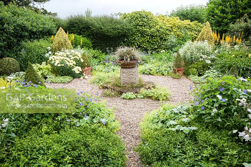 The Vean Garden with clipped box and golden privet surrounded by perennials such as Leucanthemum x superbum 'Goldrausch', hardy geraniums, Alchemilla mollis, ligularias and variegated comfrey and phlox. At its centre is a shallow urn planted with Astelia nivicola 'Red Gem'.Bosvigo, Truro, Cornwall, UK