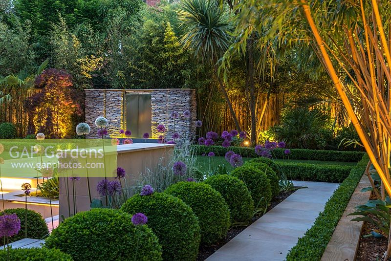 Town garden designed by Kate Gould, lit at night. A stainless steel water feature set into a dry stone wall. Box balls interplanted with purple and white allium. Boundary beds are filled with bamboo, cordyline, Trachycarpus fortunei.