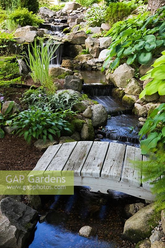 Creek with cascading waterfalls and grey wooden footbridge bordered by Hosta plants in backyard garden in summer, Quebec, Canada