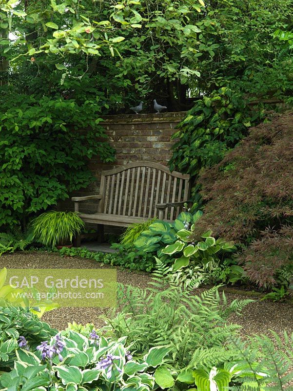 Courtyard with bench edged in Ivy 'Paddy's Pride', Acer palmatum var. dissectum 'Garnet', Hakonechloa macra 'Aureola'. Seen over fern, hosta and Solomon's Seal.