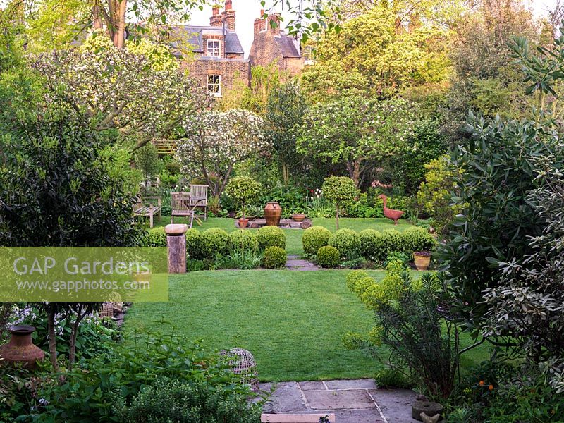 45m x 12m town garden. View past euphorbia, over lawn divided by box balls and viburnum, to table and chairs beneath apple trees, near bubbling urn water feature.