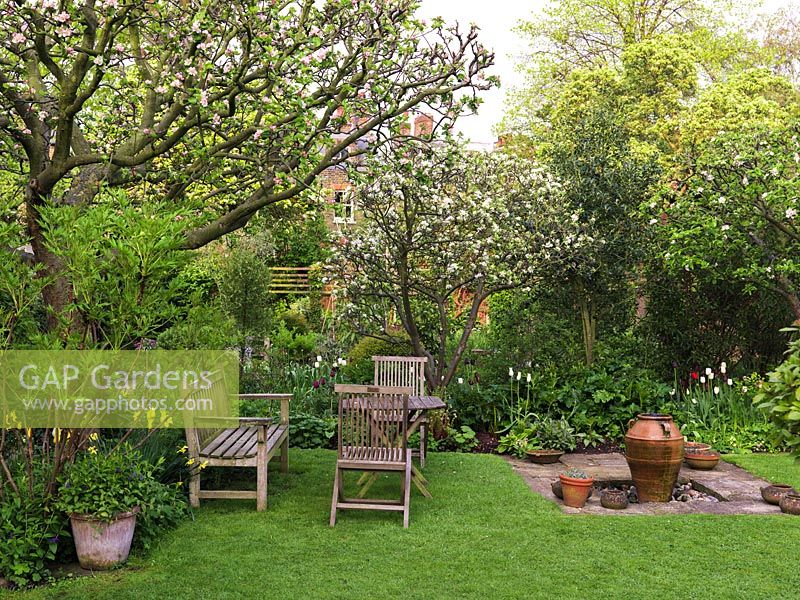 45m x 12m town garden. Table and chairs beneath apple trees, by beds of tulips and perennial.  Bubbling urn water feature. Behind, gravel and herb garden.