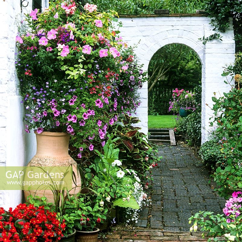 Archway in wall frames view of garden beyond. On left hanging basket of diascia, petunia, fuchsia and lobelia.