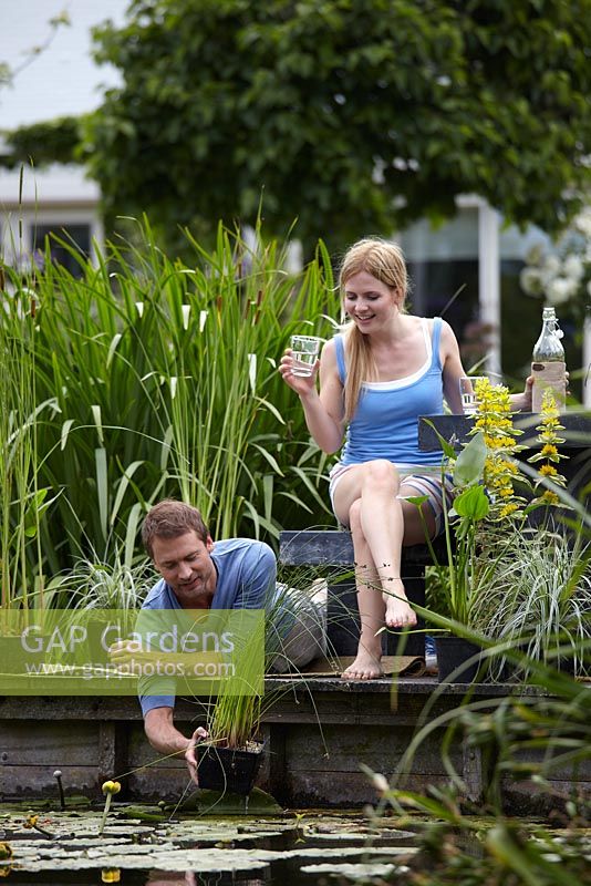 Couple deciding where to put plants in pond