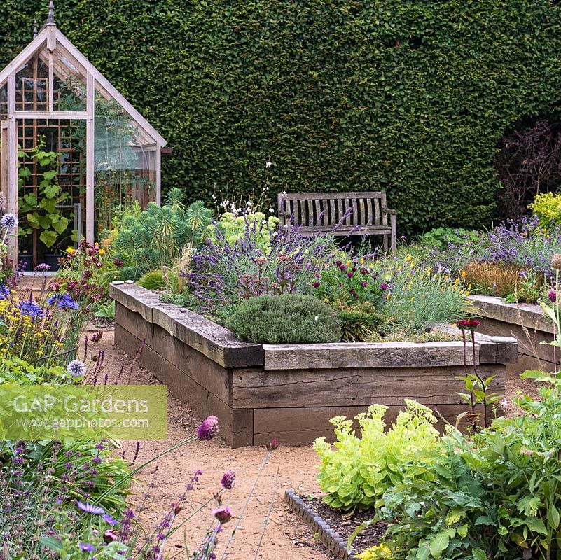 A timber raised bed with a path leading to a traditional greenhouse. A bench sits at the base of a very tall hedge.