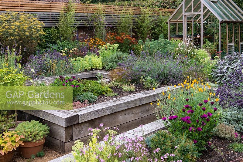 Raised beds of herbs and flowers with greenhouse behind. Bamboos and border of late summer flowering perennials such as helenium, fennel, Verbena bonariensis and salvia against the horizontal fence.