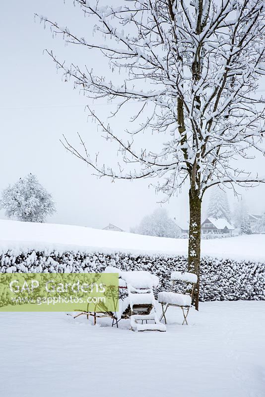 Garden furniture buried under snow, in the background, a hedge and winter landscape