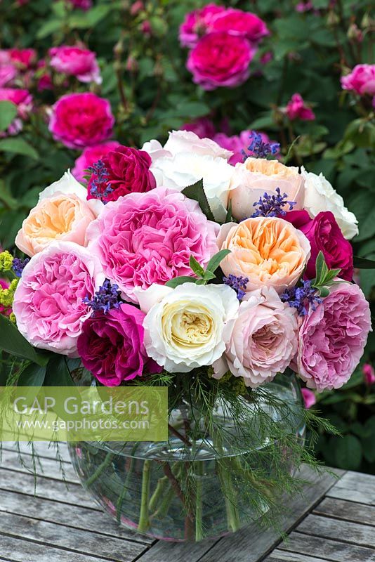 Bouquet of roses in vase. Many trials have been carried out to find the best cut flowers in terms of a stiff stem, good shape and fragrance, and resilience to travelling. David Austin Roses. 