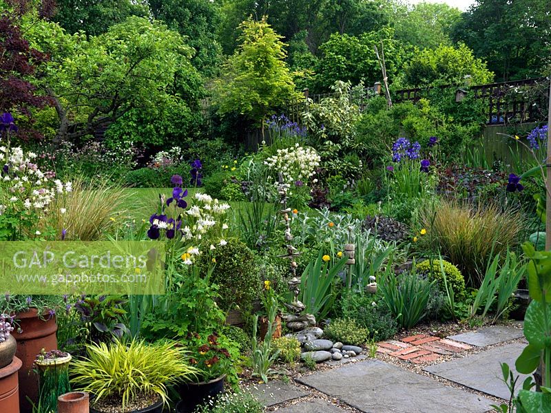 A colouful mixed border including Iris, Aquilegia, Valerian, Escholzia, Stachys, thymus and Papaver with buxus balls, containers and driftwood sculptures.