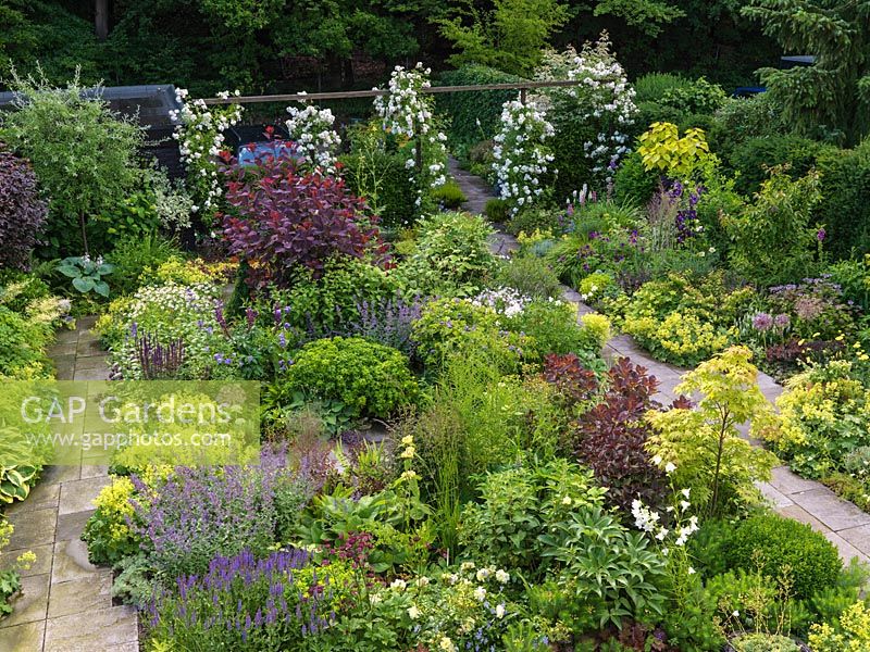 Overview of tiny garden. Paths pass 250  perennials packed into beds. Key plants: Rosa Guirlande d'Amour on pergola, Cotinus coggygria, Acer palmatum, Catalpa bignoides.