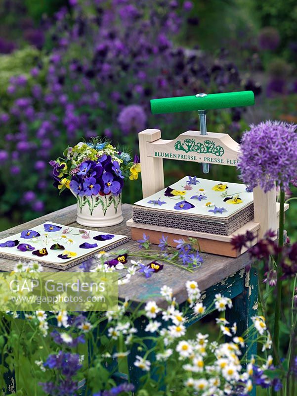 Flower press on garden table with cut flowers in ceramic cup