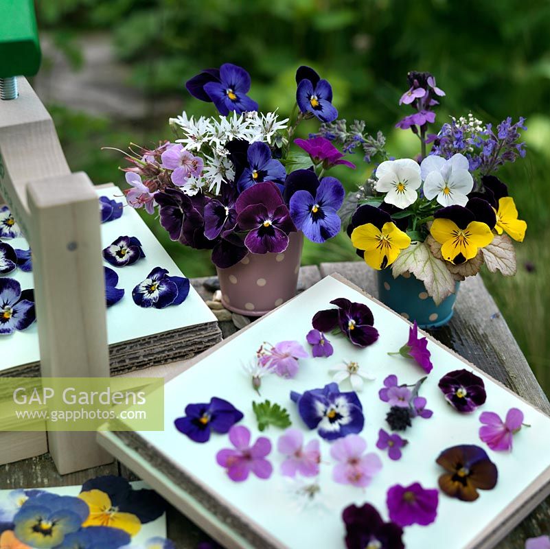 Flower heads on paper for pressing next to cut flower arrangement on garden table 
